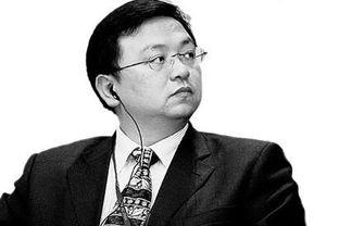 王传福爆料最新技术,新能源汽车领域最新技术突破